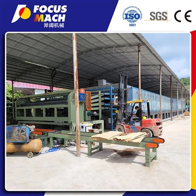 4 слоя 38 -метровой винильной сушилки и 10 т в печи